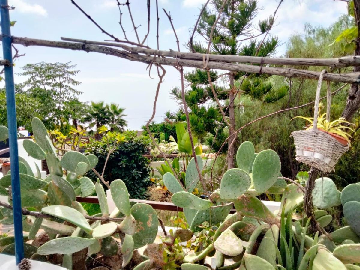 Casa De Campo Lomo Del Balo Guía de Isora Εξωτερικό φωτογραφία